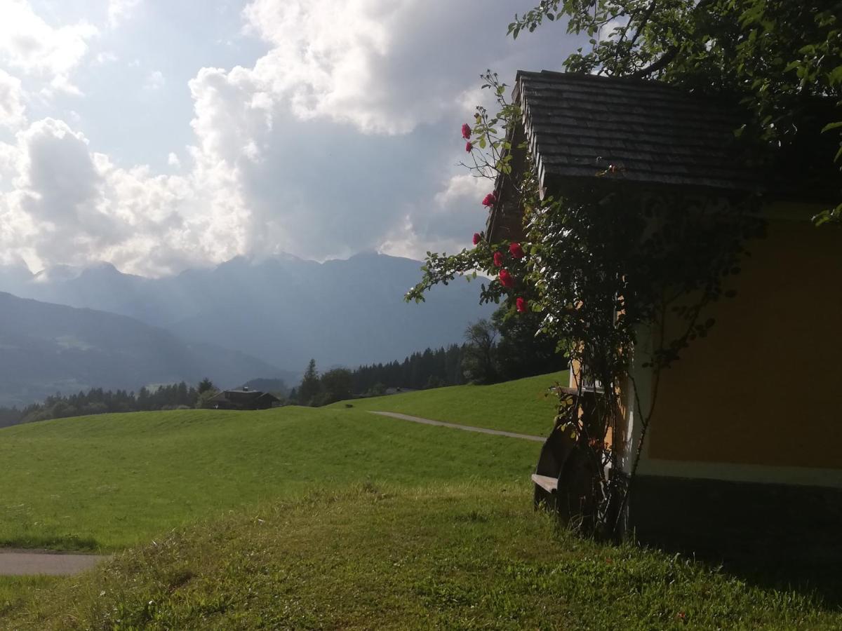 Appartement Steinerhof Werfenweng Εξωτερικό φωτογραφία