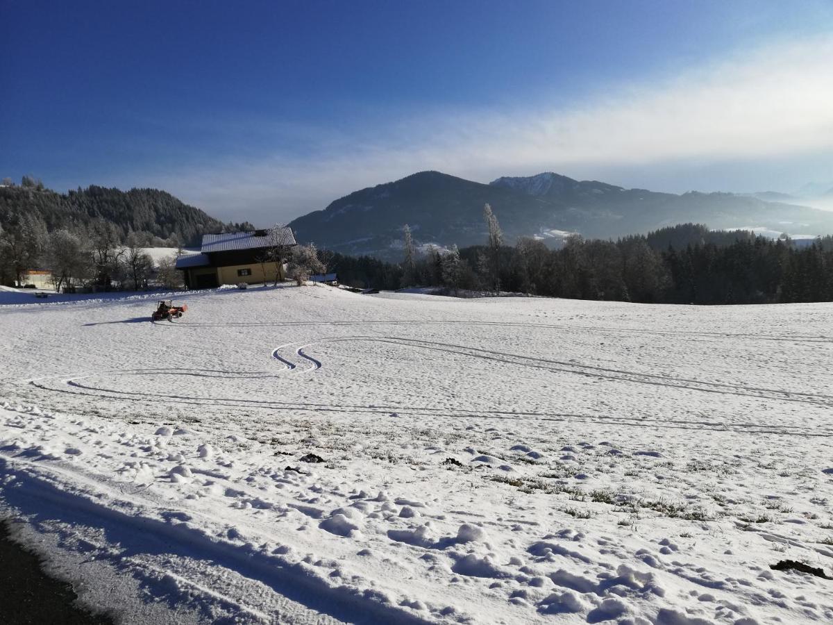 Appartement Steinerhof Werfenweng Εξωτερικό φωτογραφία